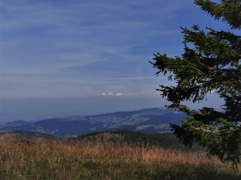 Sommersmog Belchen mit Wolken 10 08 2020